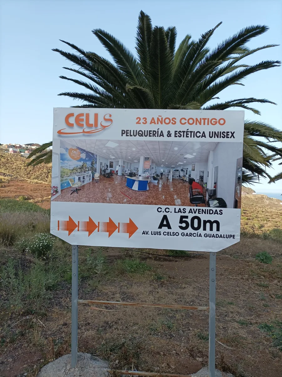 Cartel Celis — La Gráfica Tenerife